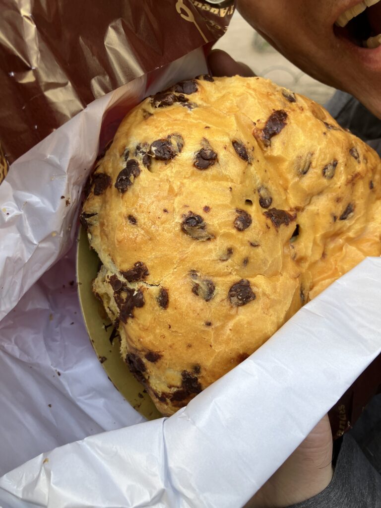 リヨンベーカリーのパン屋D’Brioche Aux Pralines PralusのBrioche pépites de chocolat