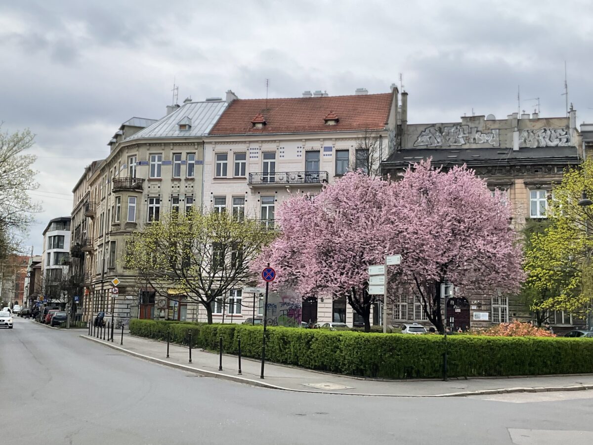 カジミエシュ地区