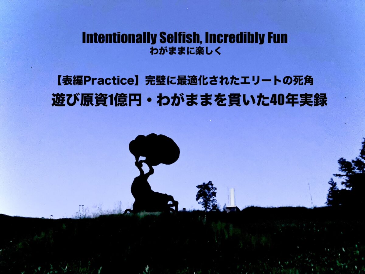 【仕:practice表編】成功成果