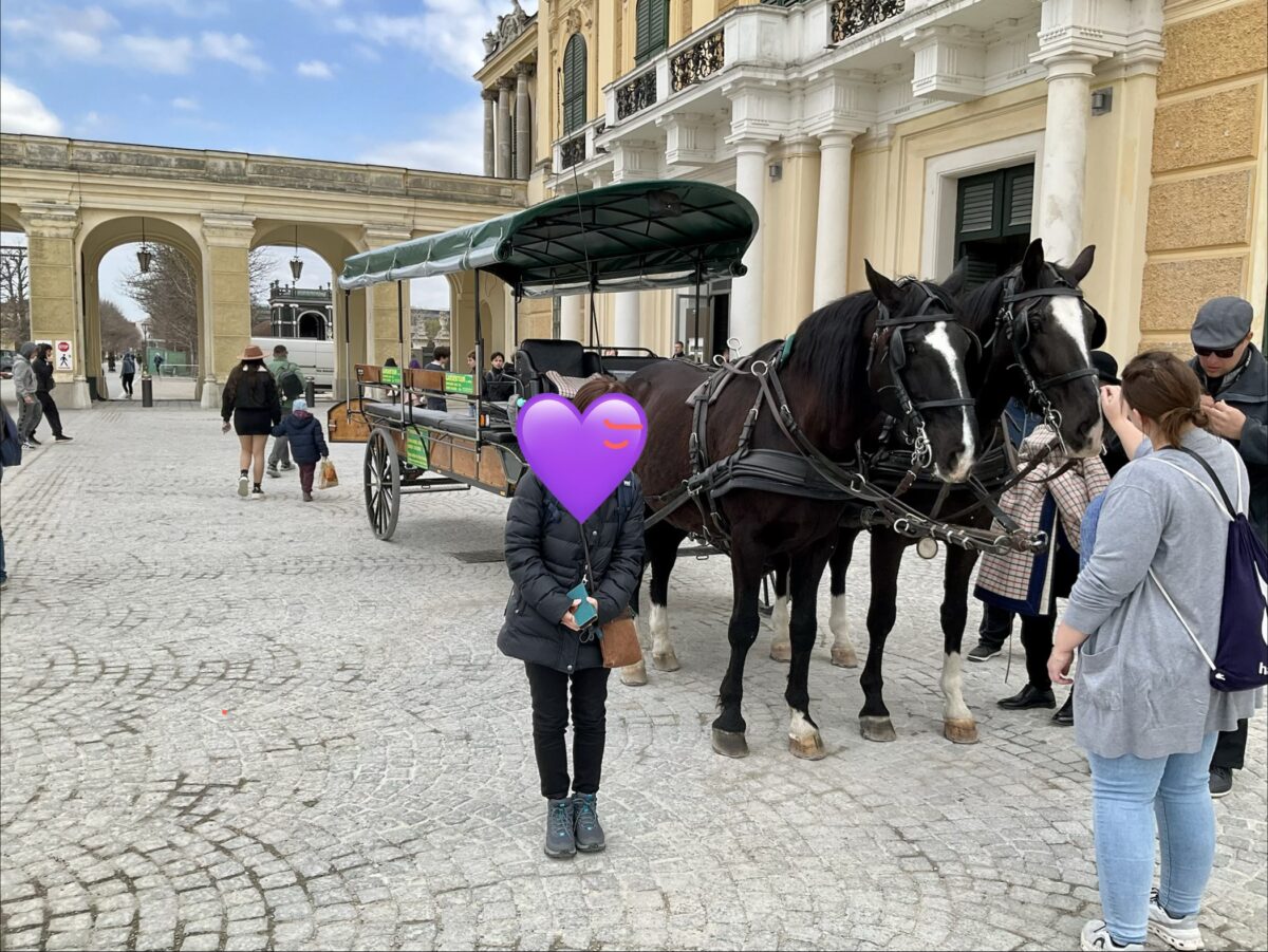 ウィーン観光・シェーンブルン宮殿